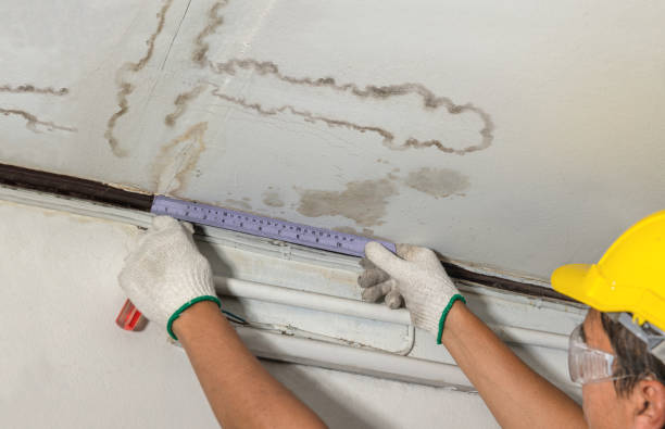 Reliable Structural Drying contractor in Hamilton, WA by Water Damage Irwin
